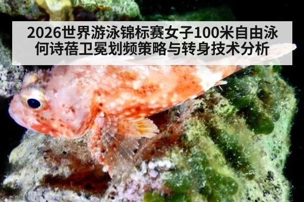 2026世界游泳锦标赛女子100米自由泳何诗蓓卫冕划频策略与转身技术分析