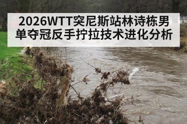 2026WTT突尼斯站林诗栋男单夺冠反手拧拉技术进化分析
