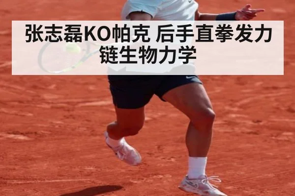 张志磊KO帕克 后手直拳发力链生物力学