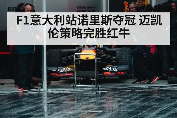 F1意大利站诺里斯夺冠 迈凯伦策略完胜红牛